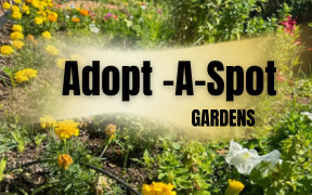 Adopt-a-Spot Information