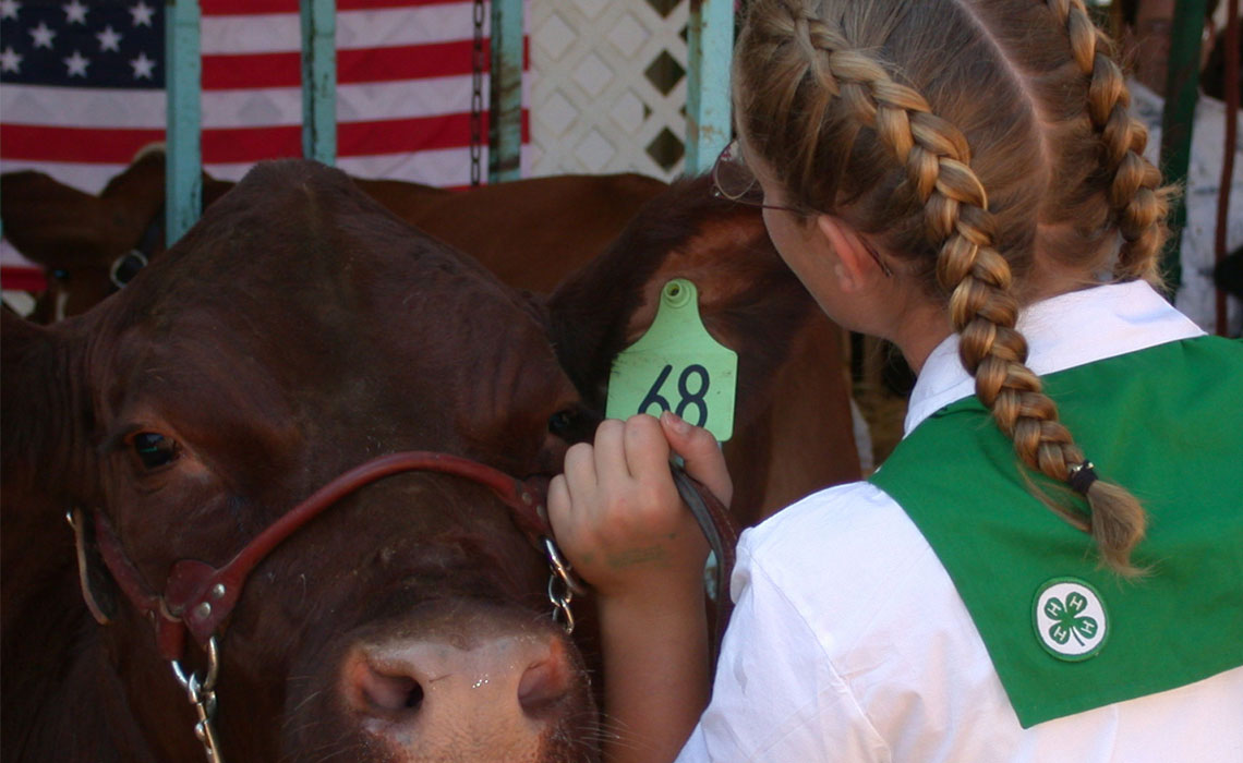 2018 El Dorado County Fair