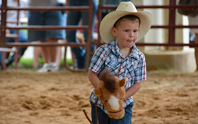Stick Pony Races