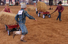 Pee Wee Rodeo