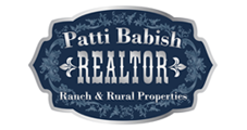 Patti Babish Realtor